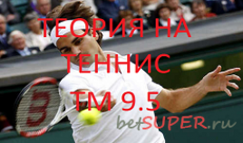 Теория на теннис ТМ 9,5
